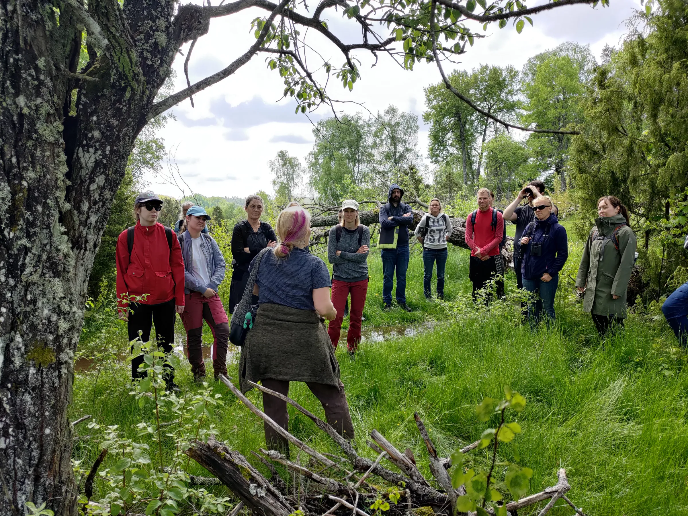 Prehistory and Swedish nature biking tours and nature walks
