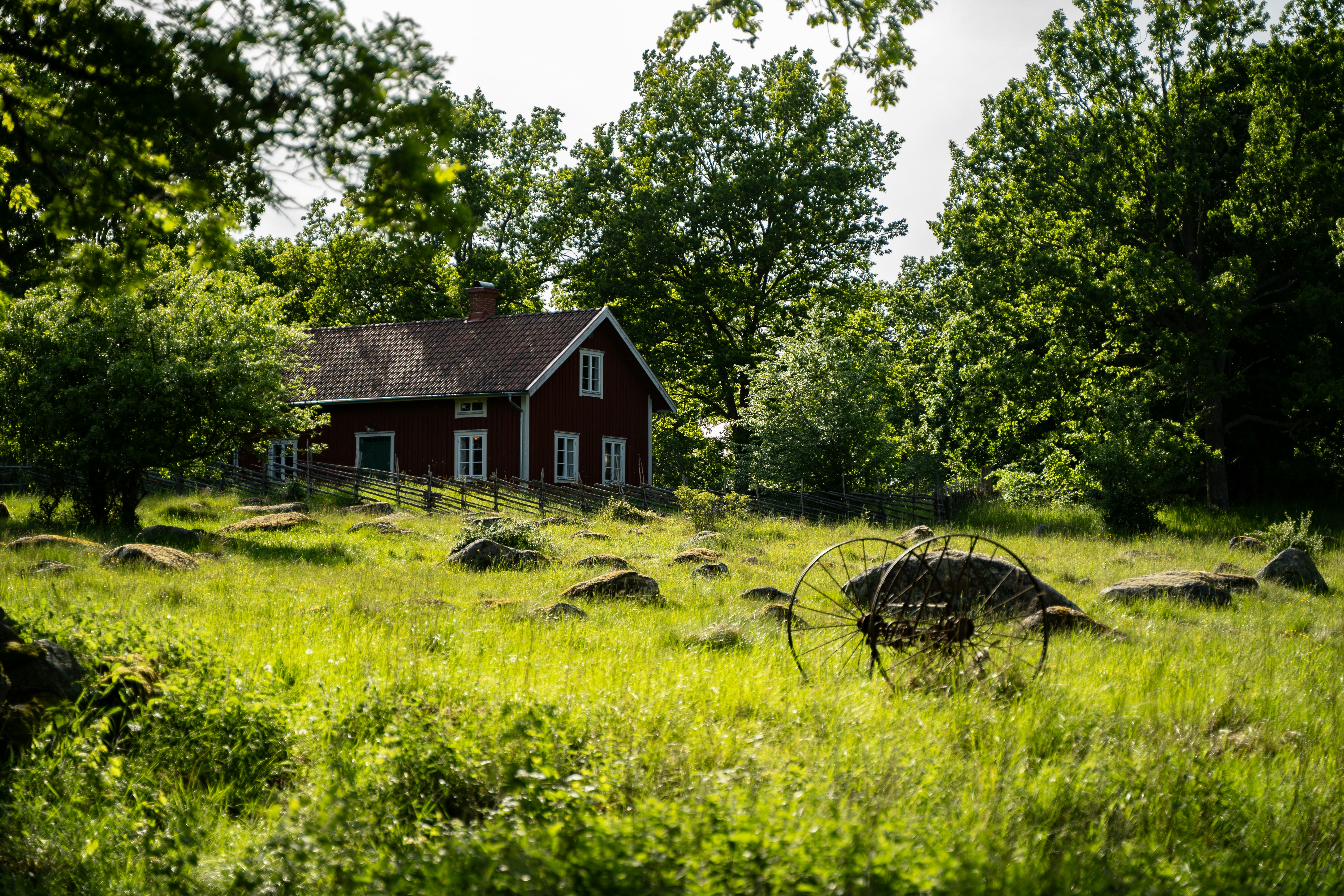 Arlanda to Stockholm or opposite w. Viking Tour & fika stop