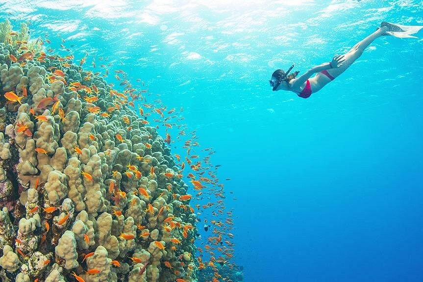 Ras Mohamed & White Island Luxury Yacht Trip