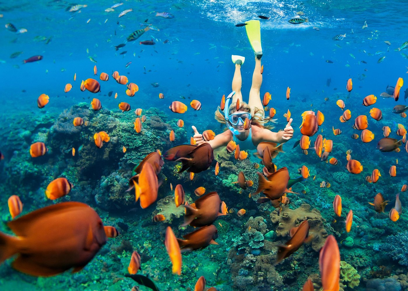 Ras Mohammed Park, Magic Lake & Snorkeling