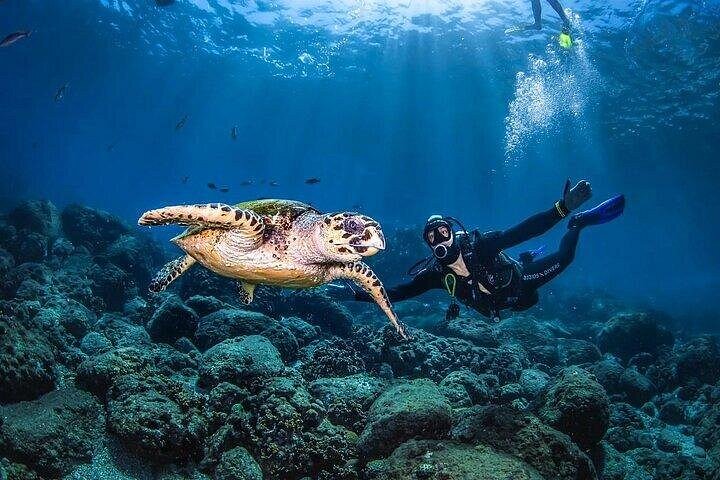 Advanced Open Water Diving Course