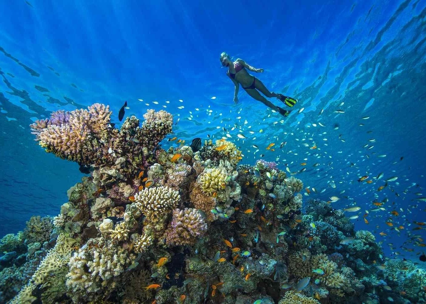 Full Day Marsa Mubarak Snorkel Trip