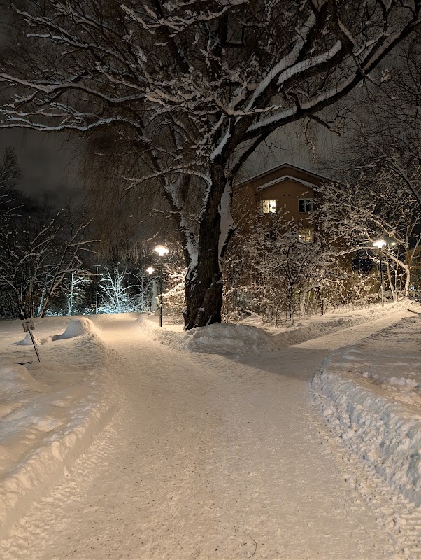 The Blåsut park