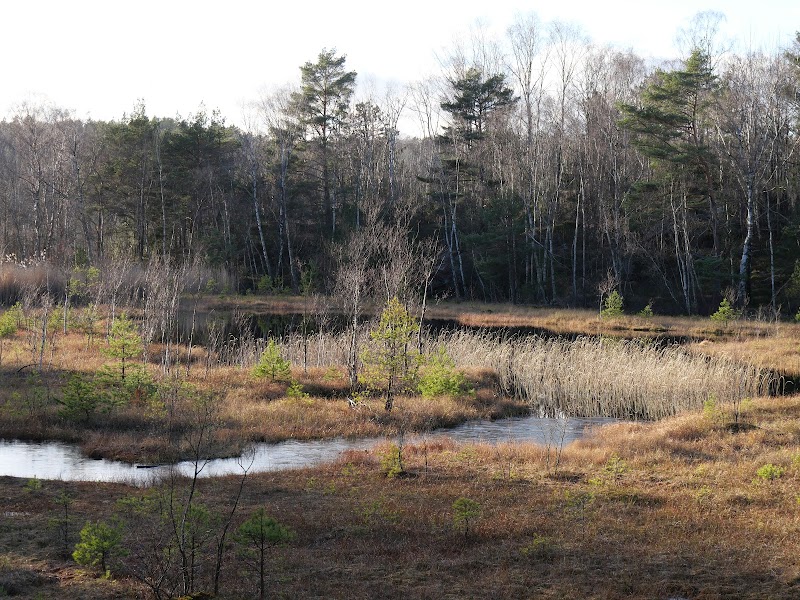Safjallets Naturreservat