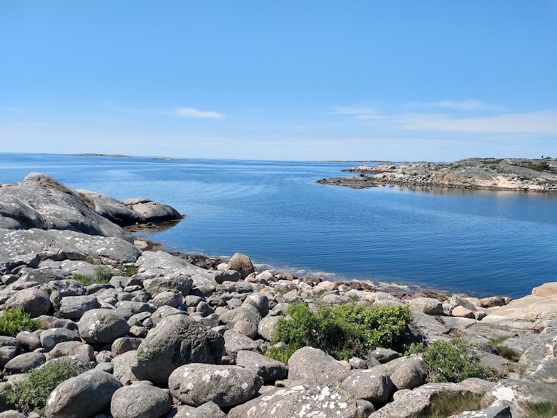 Särö västerskog
