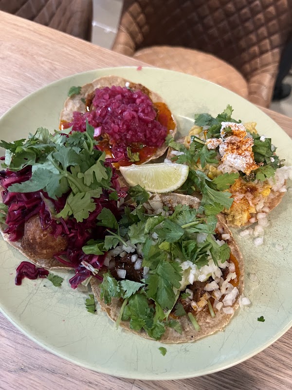 Maya Cantina