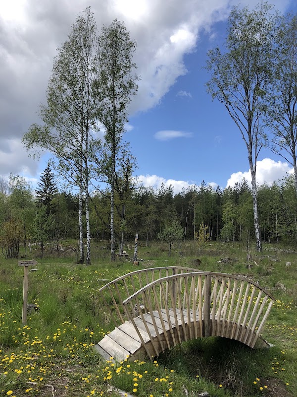 Norra Törnskogen